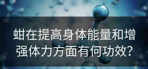 蚶在提高身体能量和增强体力方面有何功效？